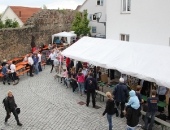 9-2013-Altstadtfest010